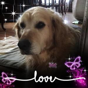 Meet your Posher, Cathy